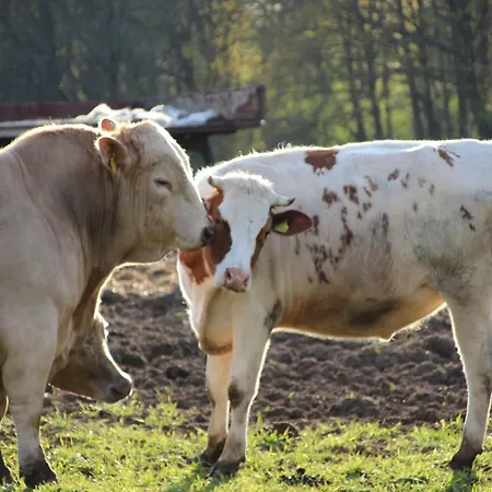Spreewaldbetten - Bauernhof Schmogrow