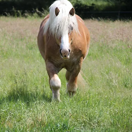 Spreewaldbetten - Bauernhof