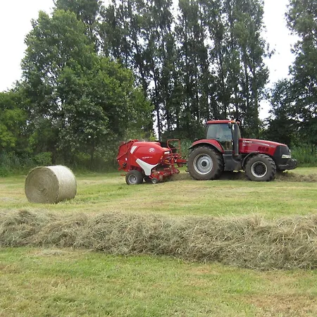 Spreewaldbetten - Bauernhof *