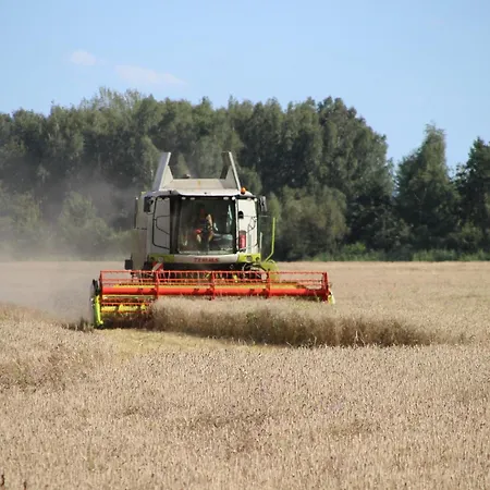 Spreewaldbetten - Bauernhof Schmogrow