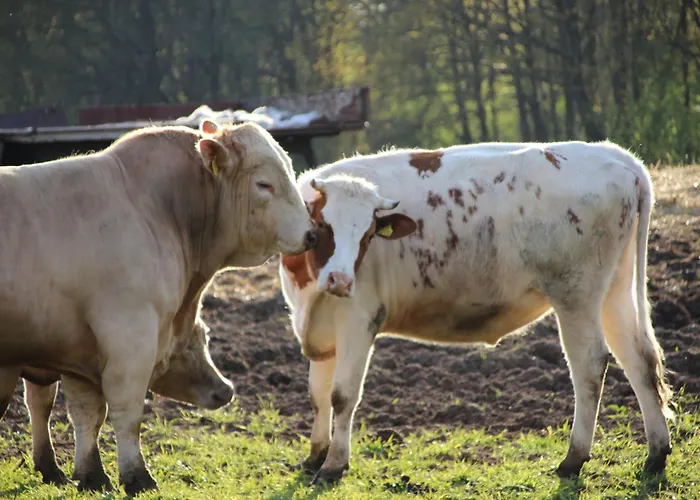 Spreewaldbetten - Bauernhof Schmogrow