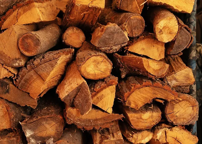 Spreewaldbetten - Bauernhof ファームステイ