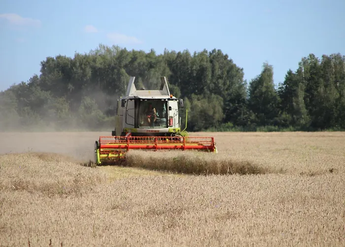 Spreewaldbetten - Bauernhof ファームステイ