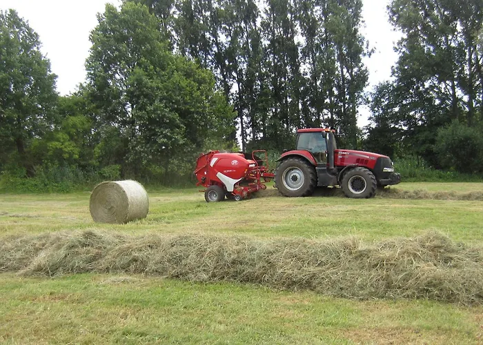 Spreewaldbetten - Bauernhof *